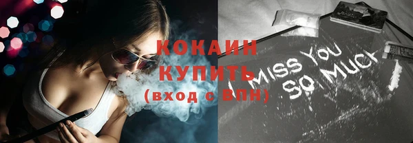 стаф Богданович