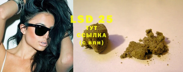 стаф Богданович