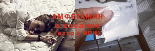 стаф Богданович