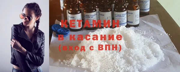 стаф Богданович